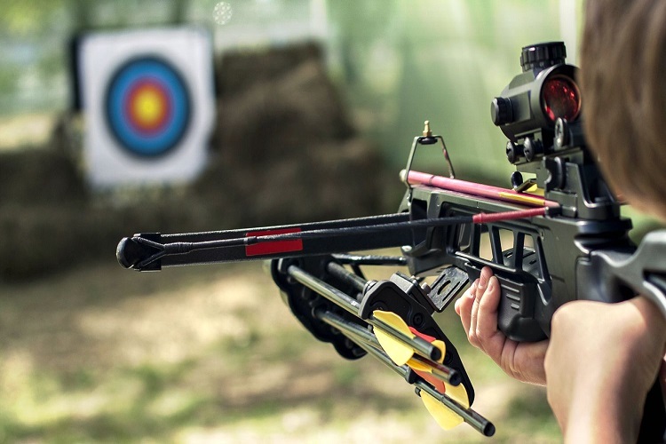 target shooting skills